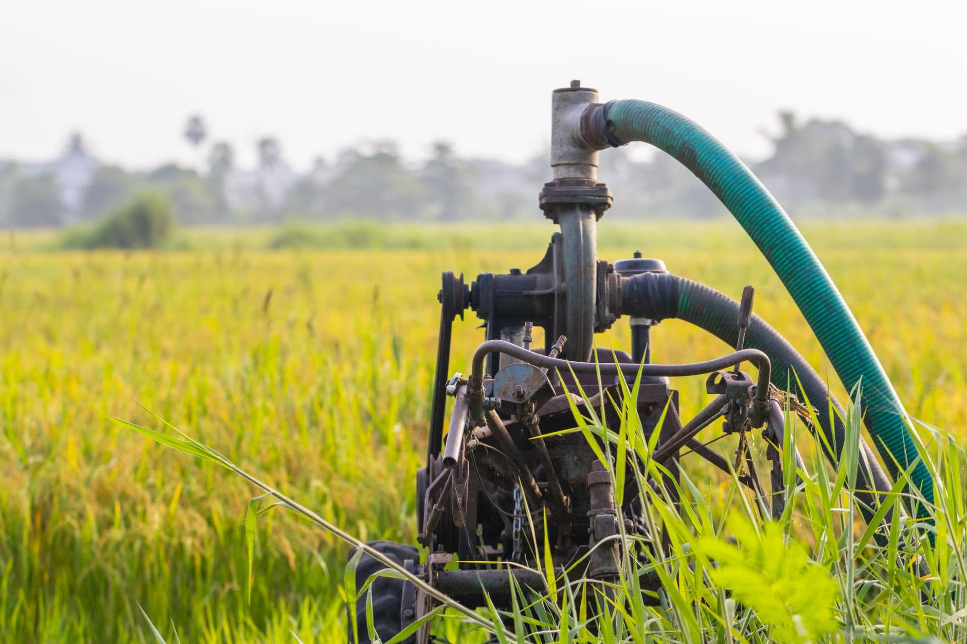 A professional technician sets up a special pump for well cleaning in a yard.
